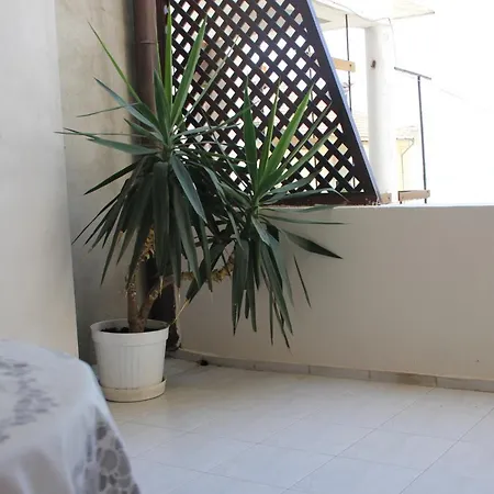 게스트하우스 Yankov's House 소조폴