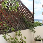 Yankov's House Σωζόπολη