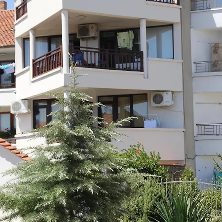 Yankov's House Guest house 2*