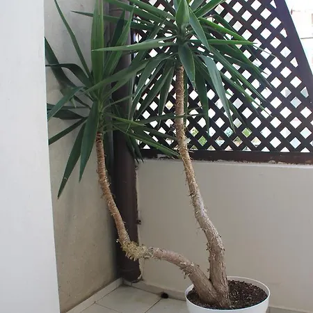 Yankov's House Sozopol